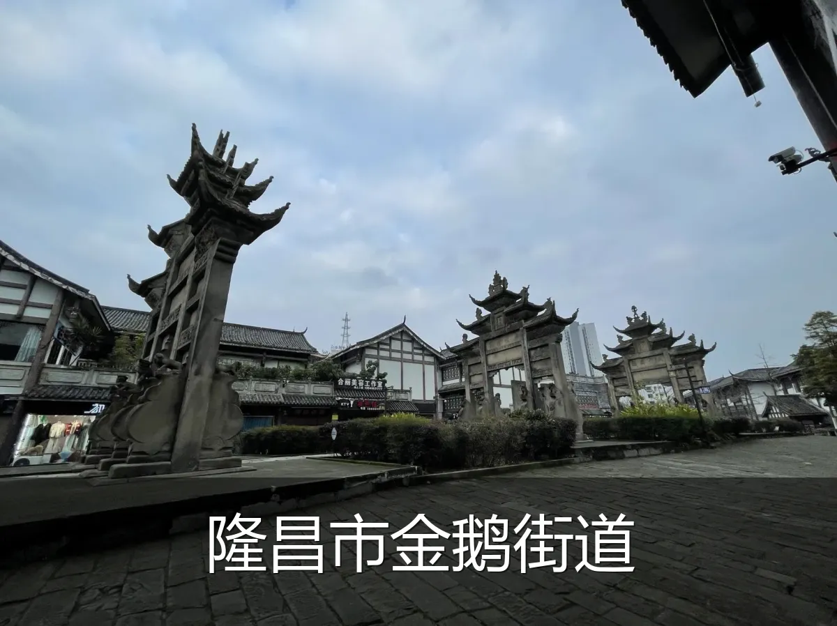 隆昌市金鹅街道